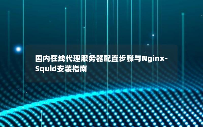 国内在线代理服务器配置步骤与Nginx-Squid安装指南