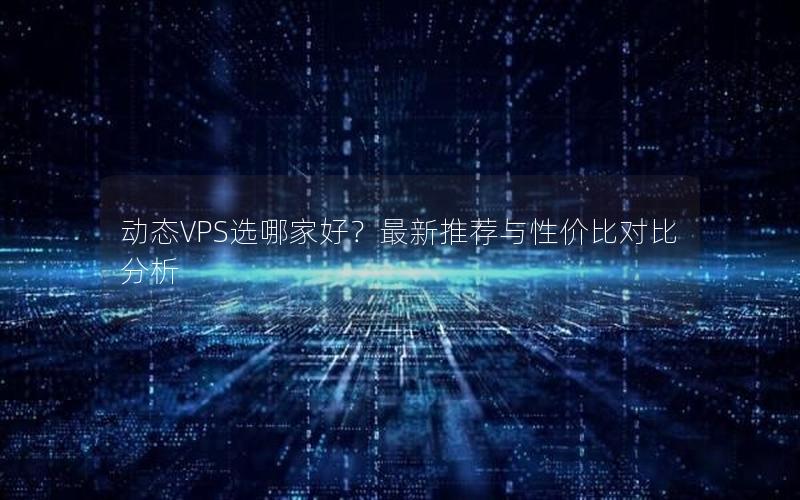 动态VPS选哪家好？最新推荐与性价比对比分析