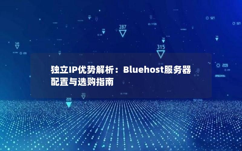 独立IP优势解析：Bluehost服务器配置与选购指南