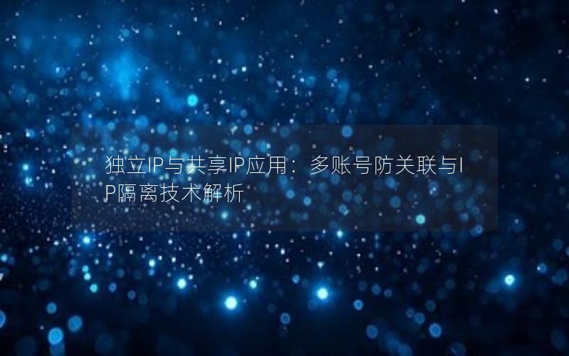 独立IP与共享IP应用：多账号防关联与IP隔离技术解析