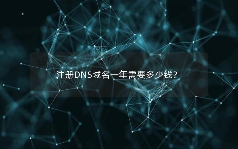 注册DNS域名一年需要多少钱？