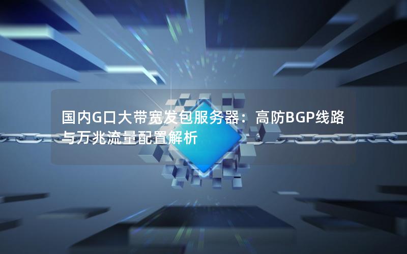 国内G口大带宽发包服务器：高防BGP线路与万兆流量配置解析