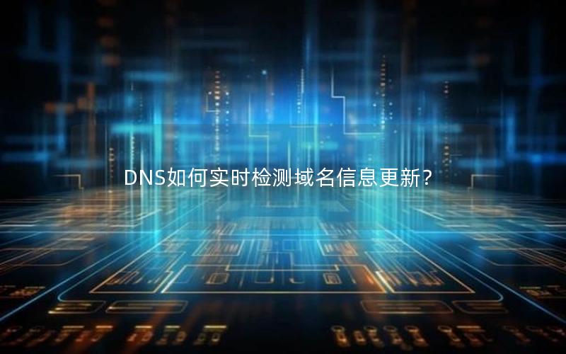 DNS如何实时检测域名信息更新？