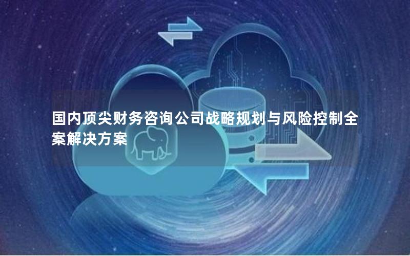 国内顶尖财务咨询公司战略规划与风险控制全案解决方案