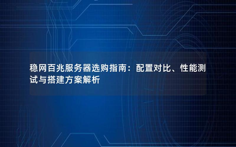 稳网百兆服务器选购指南：配置对比、性能测试与搭建方案解析