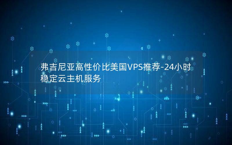 弗吉尼亚高性价比美国VPS推荐-24小时稳定云主机服务