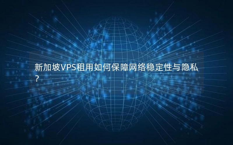 新加坡VPS租用如何保障网络稳定性与隐私？