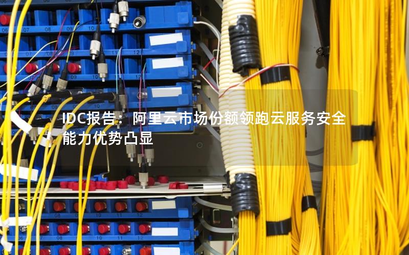 IDC报告：阿里云市场份额领跑云服务安全能力优势凸显