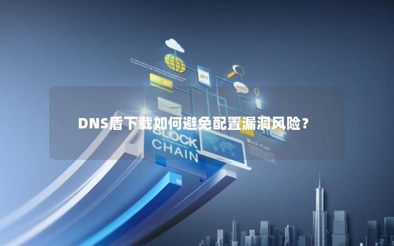 DNS盾下载如何避免配置漏洞风险？