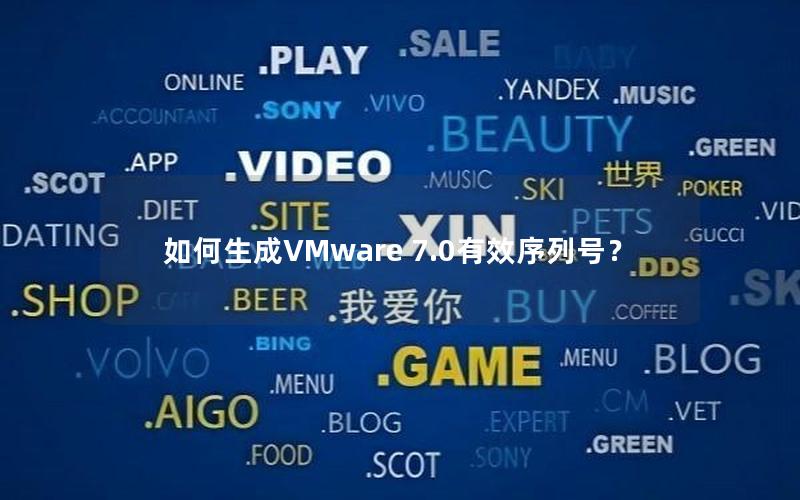 如何生成VMware 7.0有效序列号？