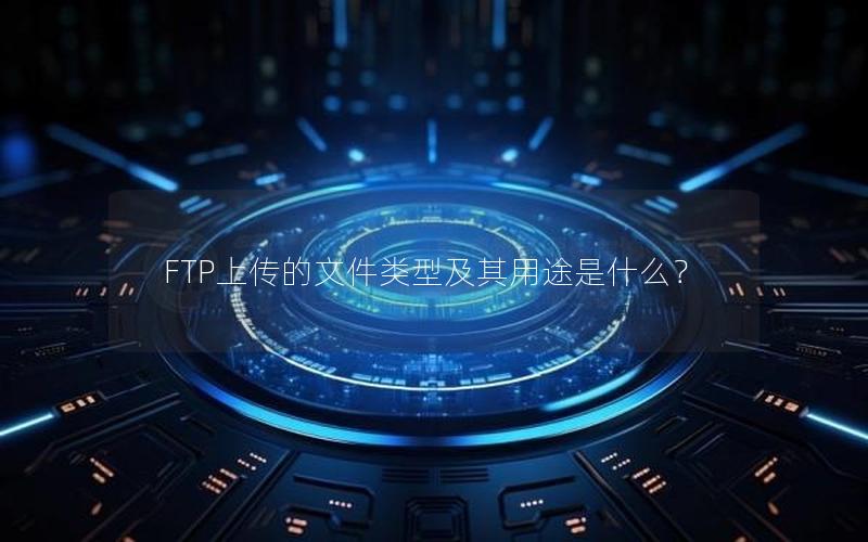 FTP上传的文件类型及其用途是什么？