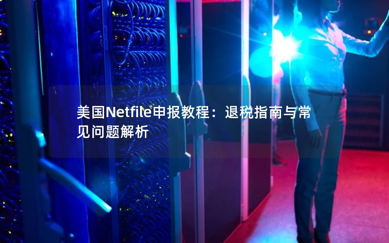 美国Netfile申报教程：退税指南与常见问题解析