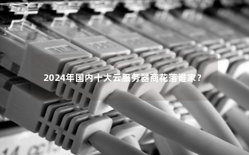 2024年国内十大云服务器商花落谁家？