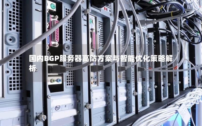 国内BGP服务器高防方案与智能优化策略解析