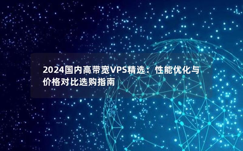 2024国内高带宽VPS精选：性能优化与价格对比选购指南