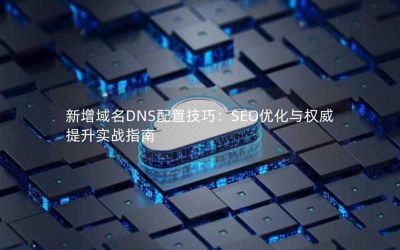 新增域名DNS配置技巧：SEO优化与权威提升实战指南