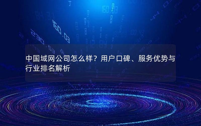 中国域网公司怎么样？用户口碑、服务优势与行业排名解析