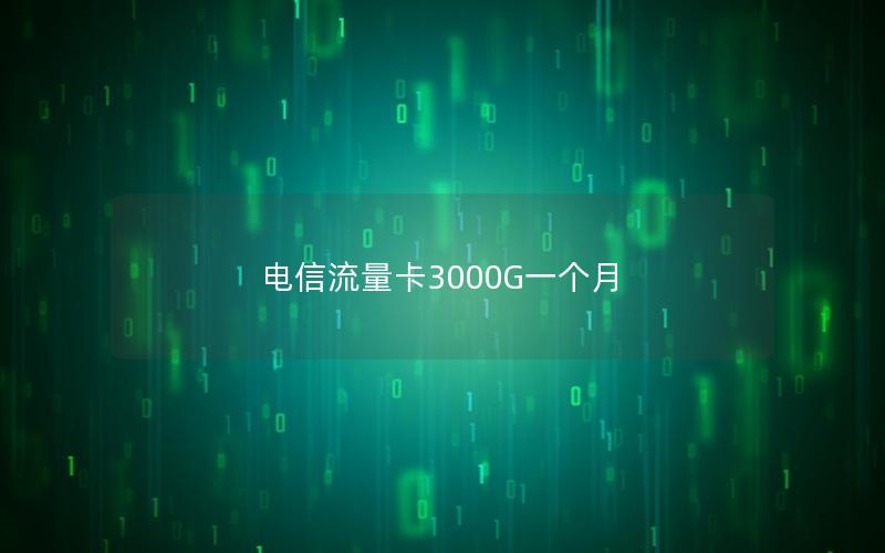 电信流量卡3000G一个月