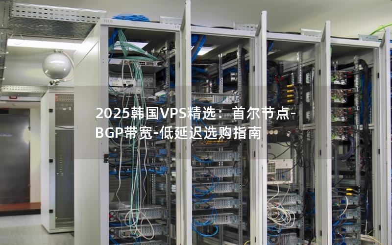 2025韩国VPS精选：首尔节点-BGP带宽-低延迟选购指南