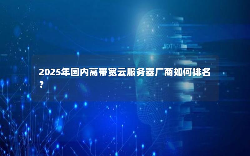 2025年国内高带宽云服务器厂商如何排名？