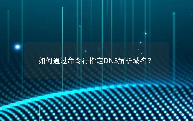 如何通过命令行指定DNS解析域名？